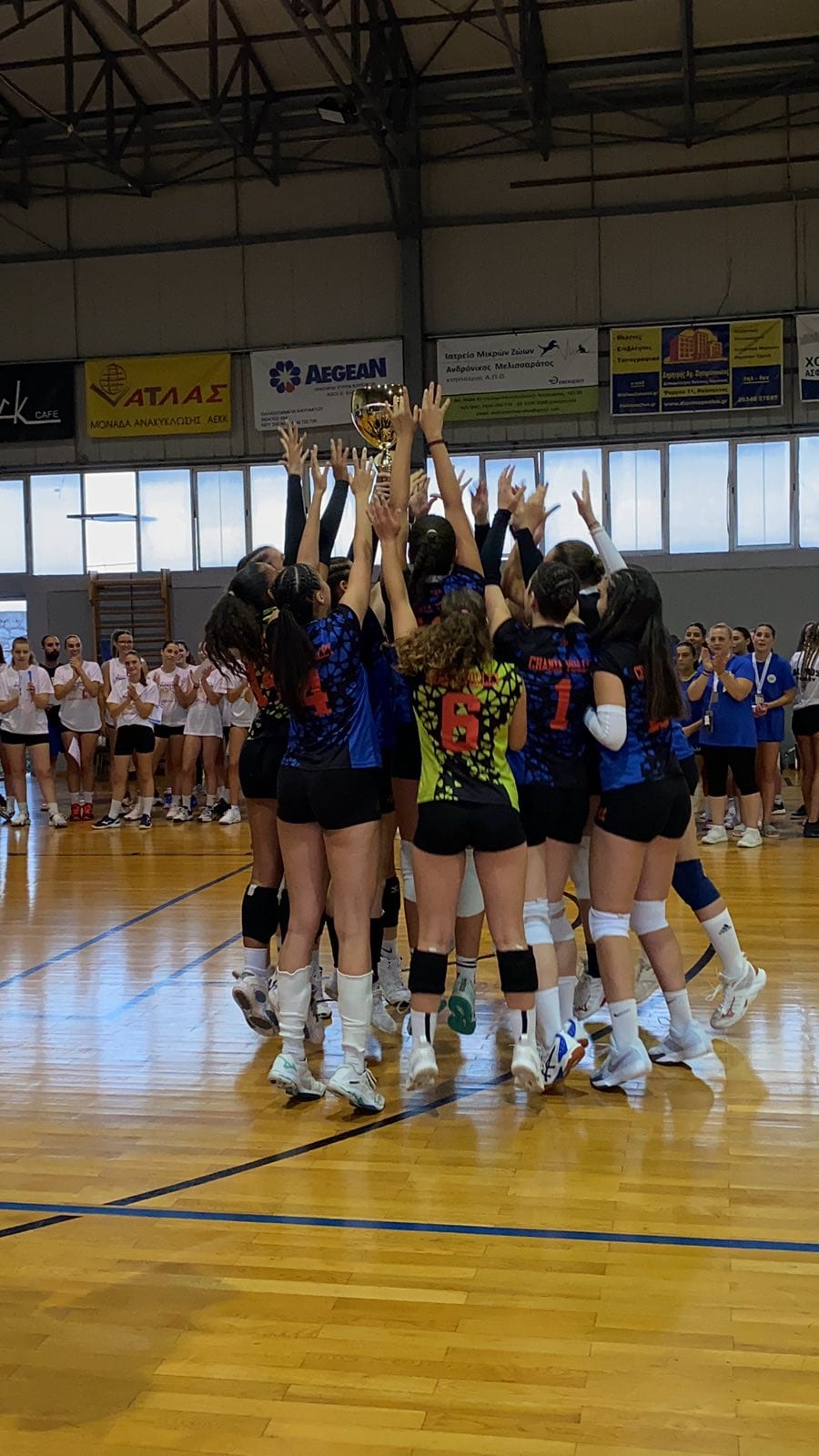 Alimos Volley