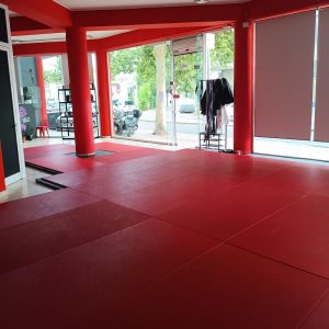 Brazilian Jiu Jitsu