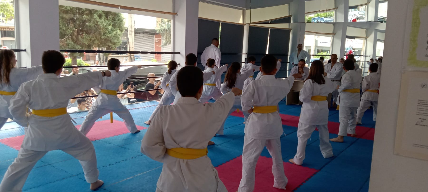 Shotokan Karate Αιγιαλείας