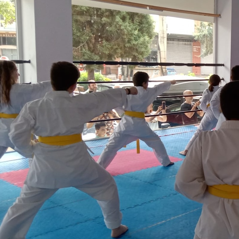 Shotokan Karate Αιγιαλείας