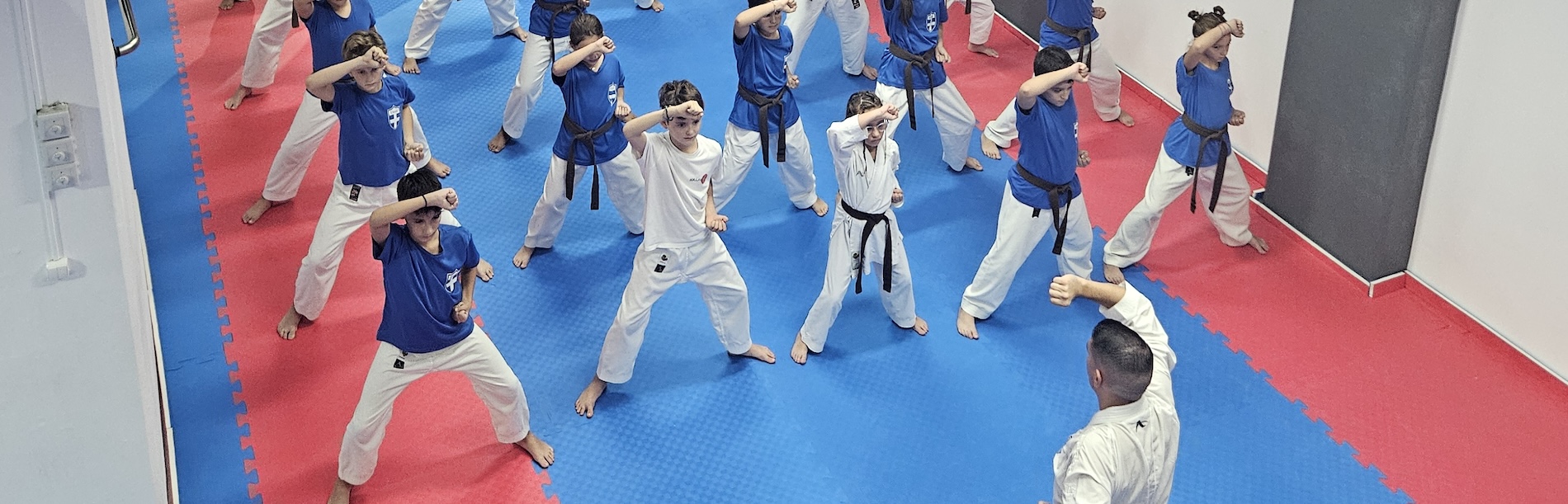 Wado Karate Ελληνικού