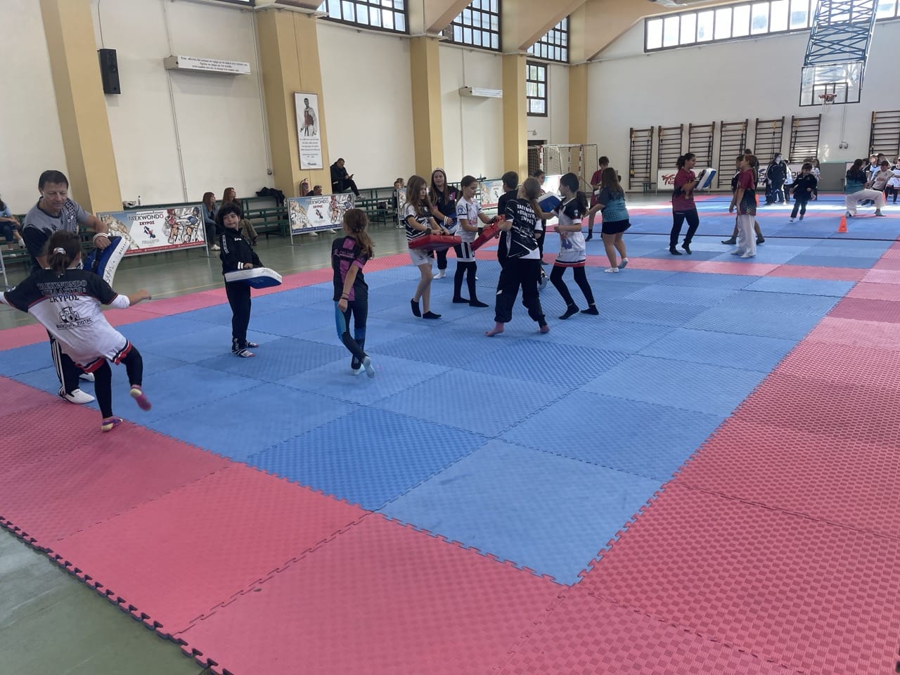 pelasgoi-taekwondo-skyros-sportshunter-xexoristi-proponisi-me-panagiotou-gianni-5