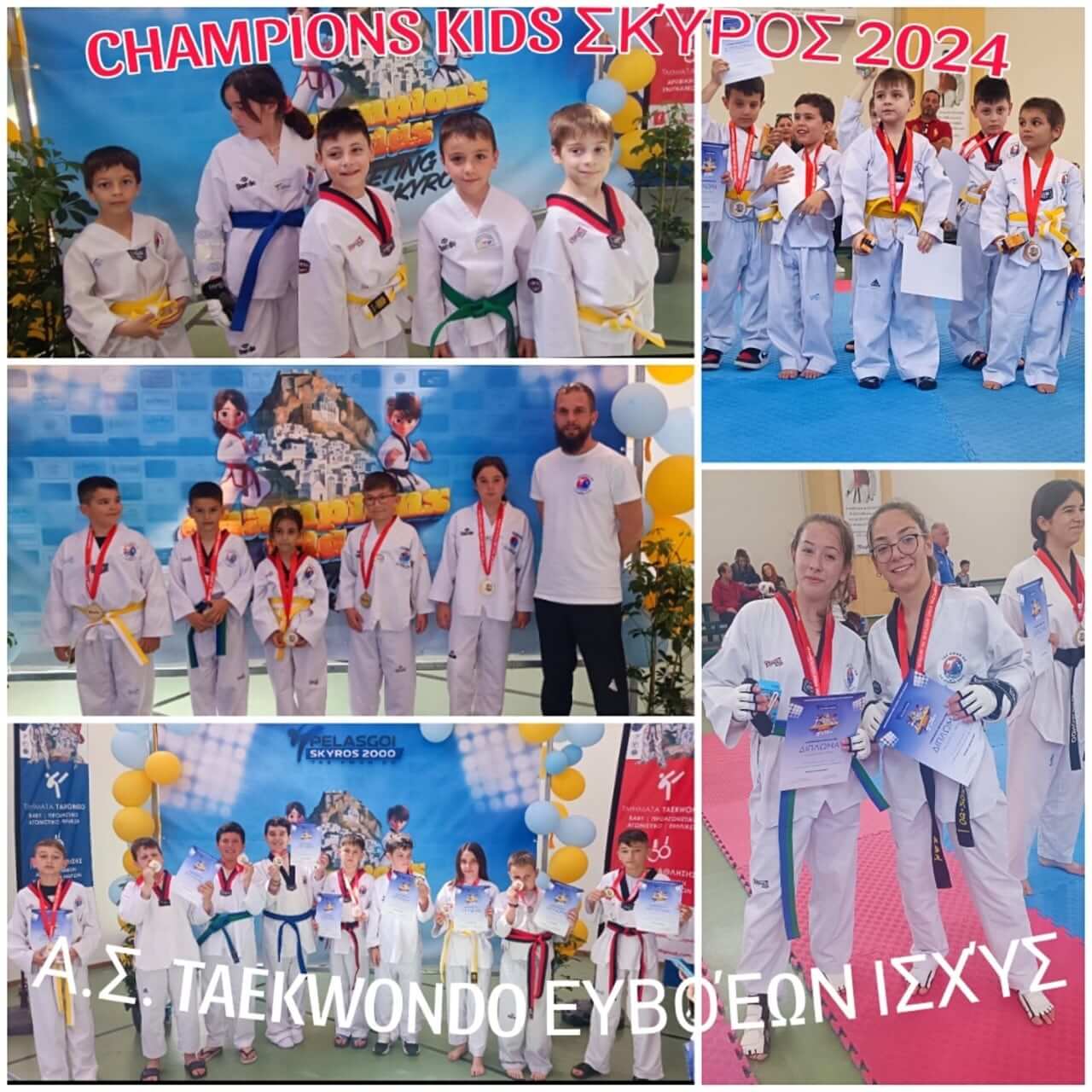 taekwondo-evvoeon-ischys-taekwondo-avlonari-sportshunter-32 Large