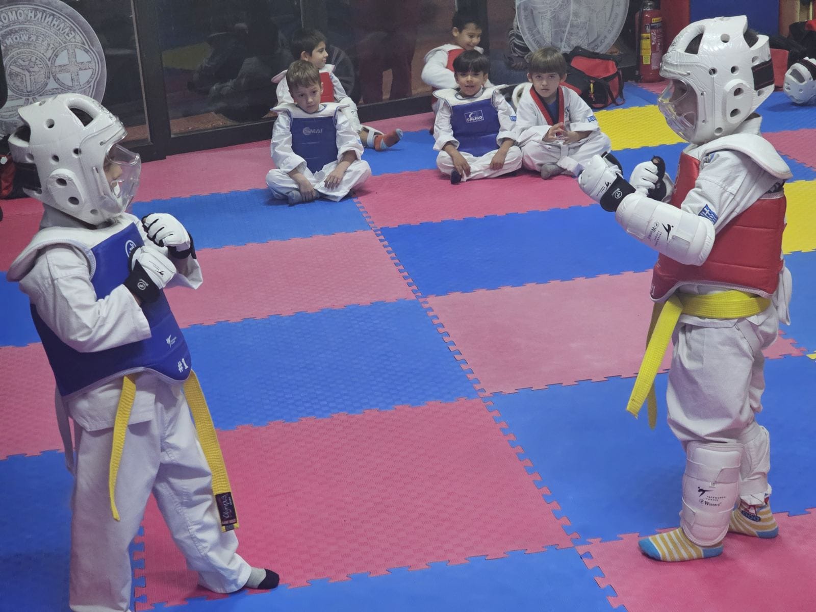 taekwondo-vasilikou-taekwondo-vasiliko-sportshunter-taekwondo-tropos-zois-17