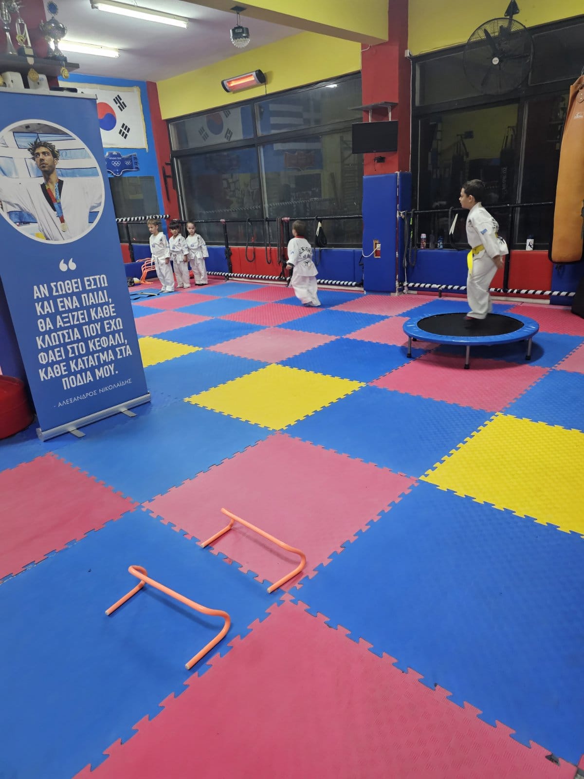 taekwondo-vasilikou-taekwondo-vasiliko-sportshunter-taekwondo-tropos-zois-18