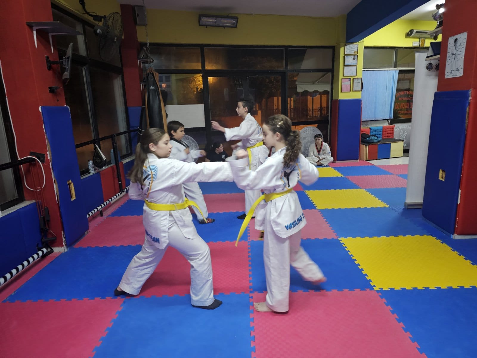 taekwondo-vasilikou-taekwondo-vasiliko-sportshunter-taekwondo-tropos-zois-20