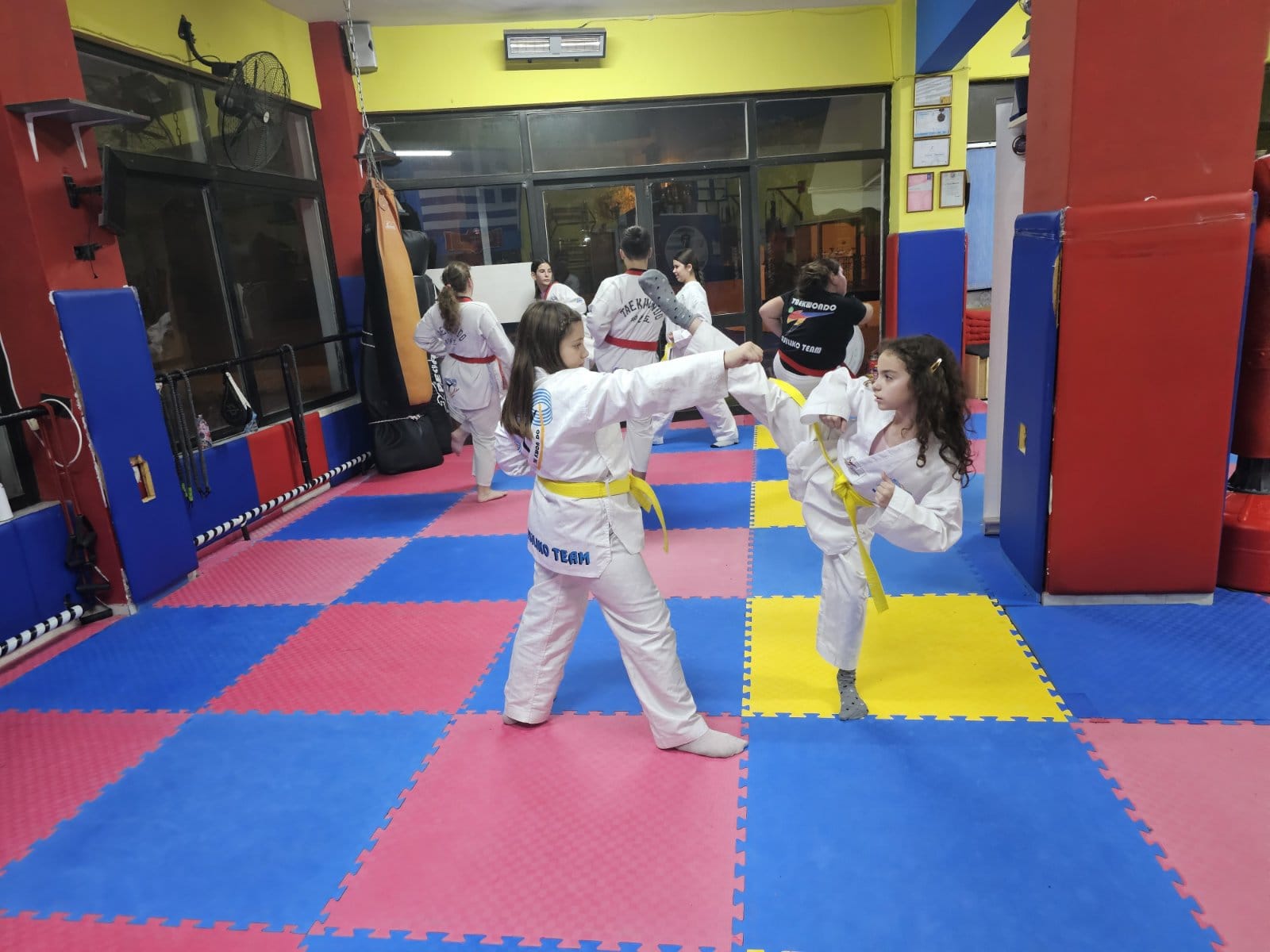 taekwondo-vasilikou-taekwondo-vasiliko-sportshunter-taekwondo-tropos-zois-21