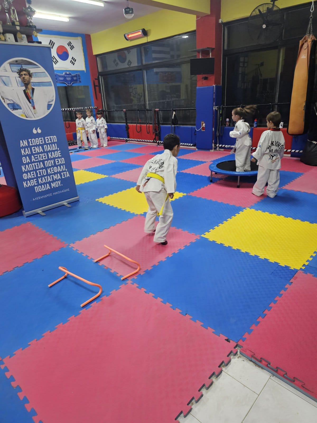 taekwondo-vasilikou-taekwondo-vasiliko-sportshunter-taekwondo-tropos-zois-29