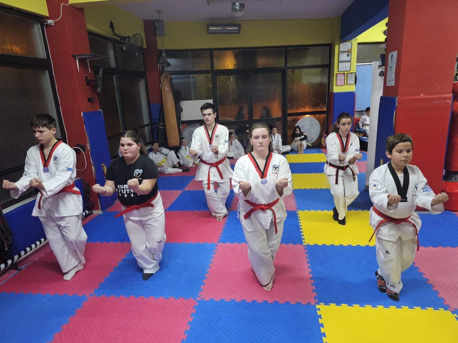 taekwondo-vasilikou-taekwondo-vasiliko-sportshunter-taekwondo-tropos-zois-4