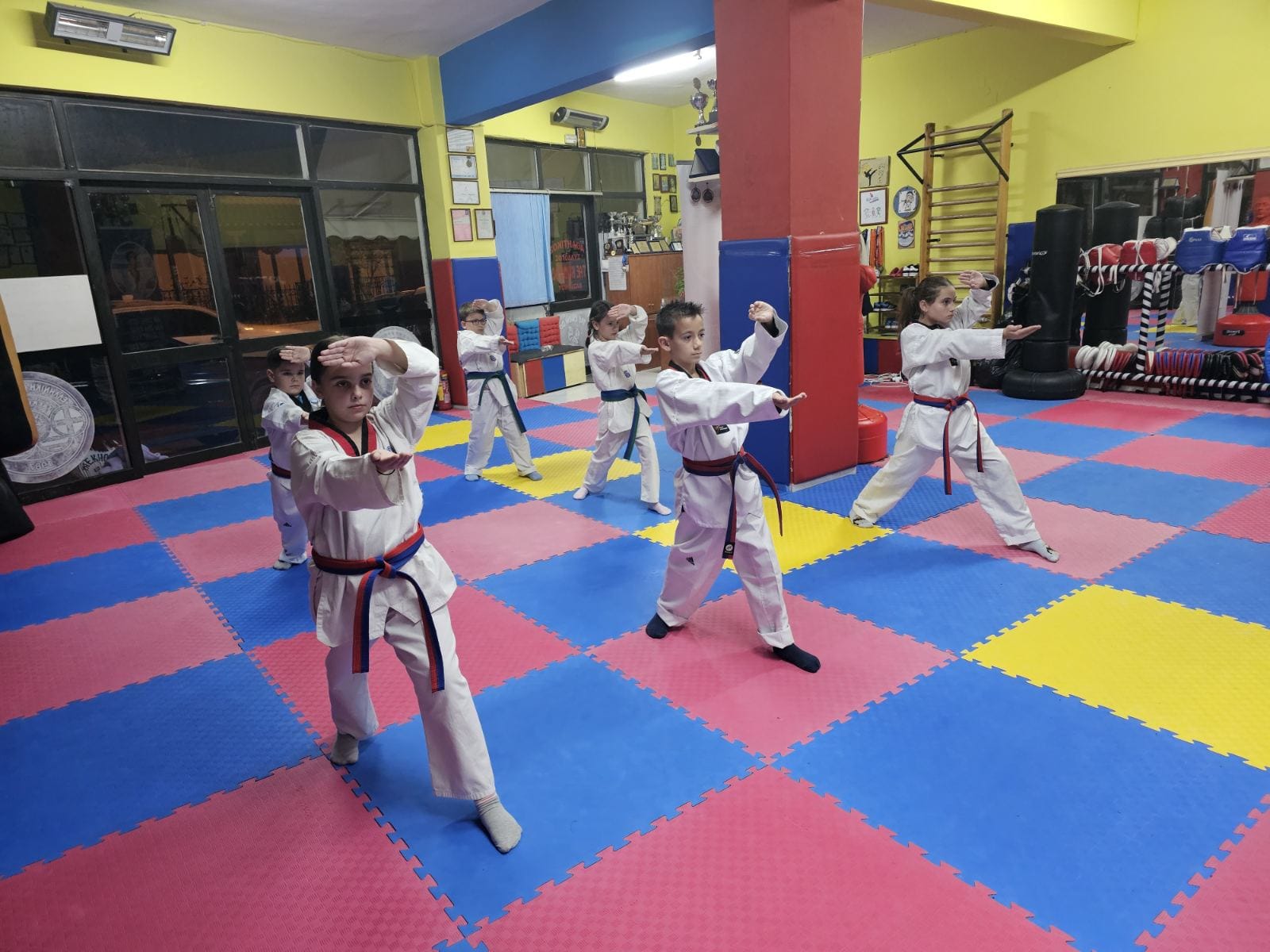 taekwondo-vasilikou-taekwondo-vasiliko-sportshunter-taekwondo-tropos-zois-7