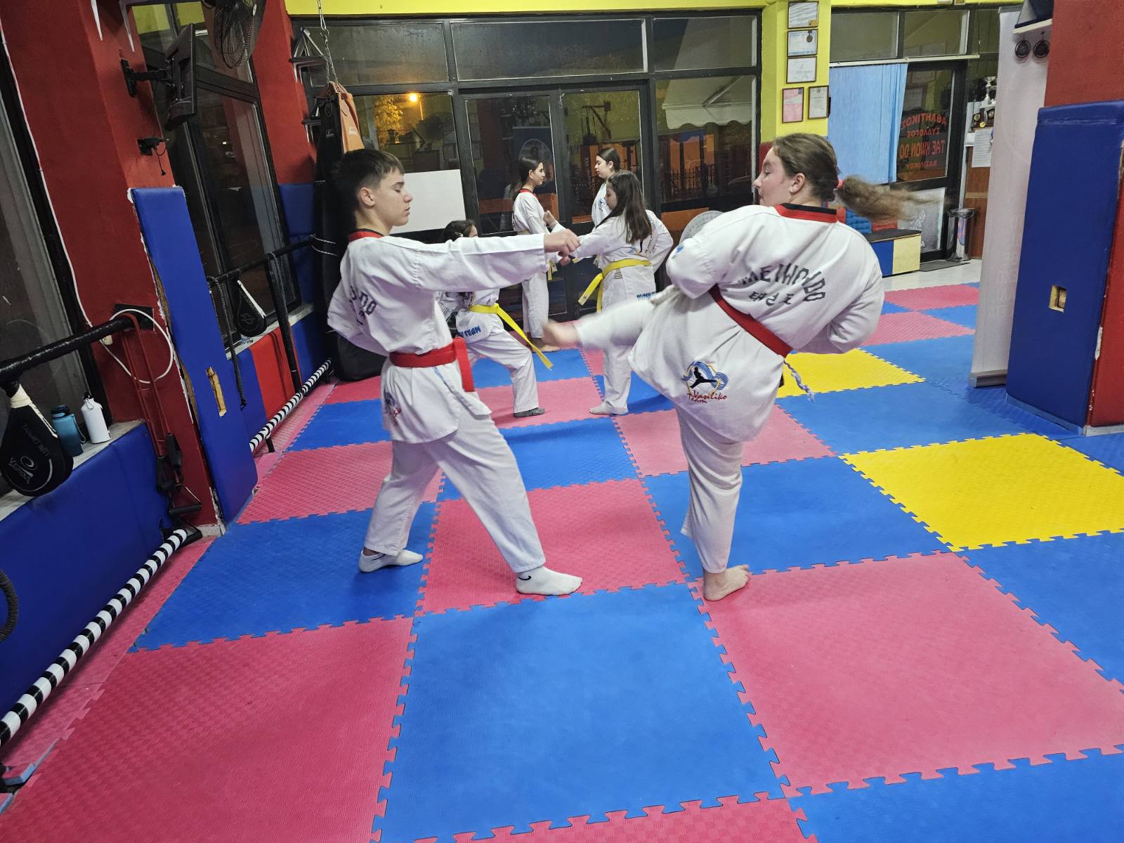 taekwondo-vasilikou-taekwondo-vasiliko-sportshunter-taekwondo-tropos-zois-8