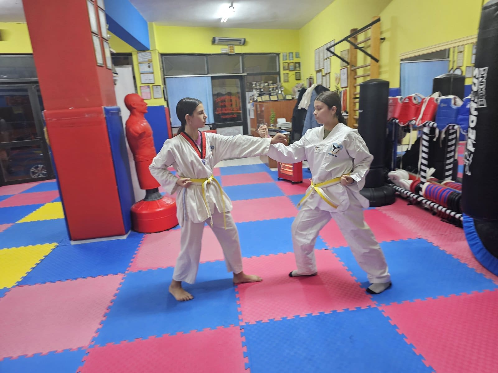 taekwondo-vasilikou-taekwondo-vasilliko-sportshunter-26