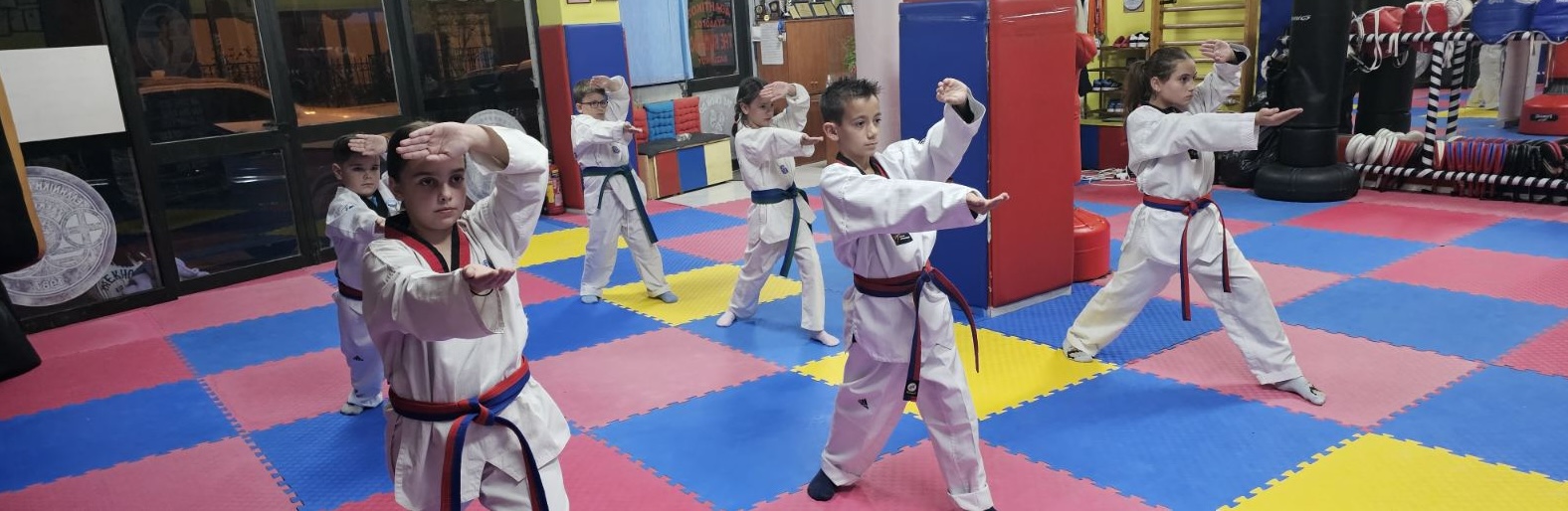 Taekwondo Vasilikou